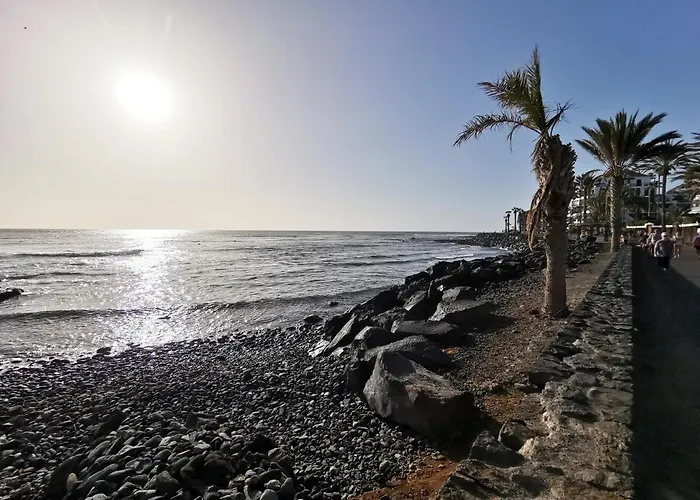 Home2book Modern Americas Pool&terrace דירה